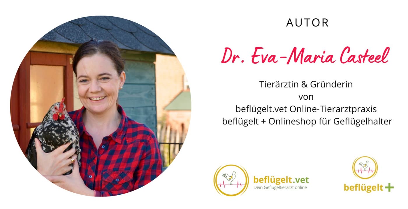 Bruteier - alles was du wissen musst - Dr. Eva-Maria Casteel