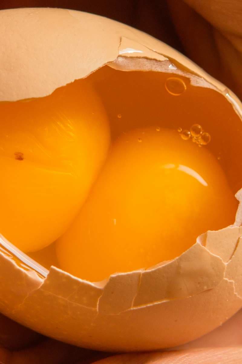 Ein halb geöffnetes Ei, in dem man 2 Dotter sieht.