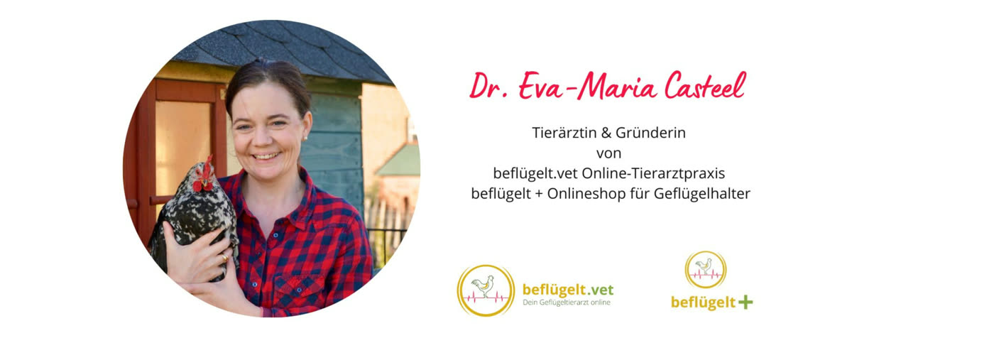 befluegtl.vet Blog