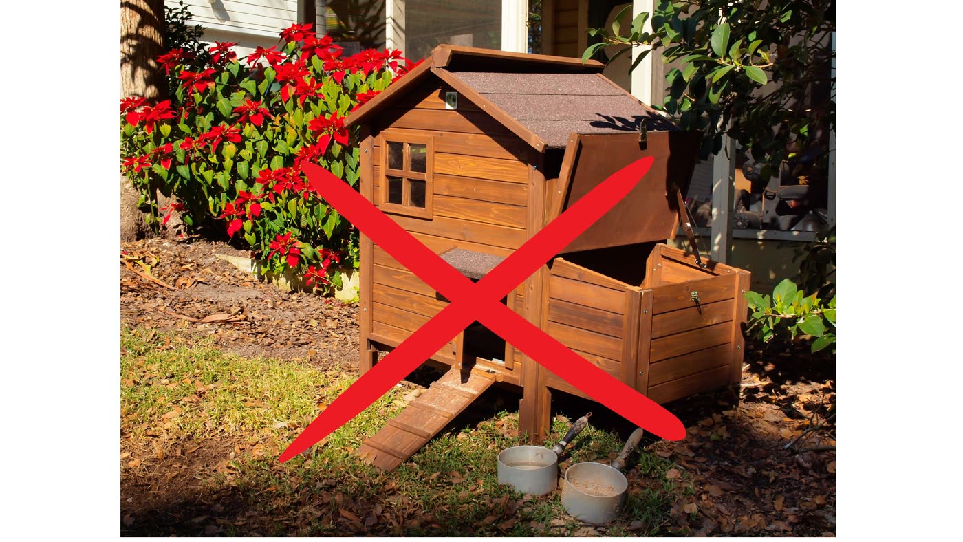 Hühnerhaltung im Garten: Hühnerstall falsch