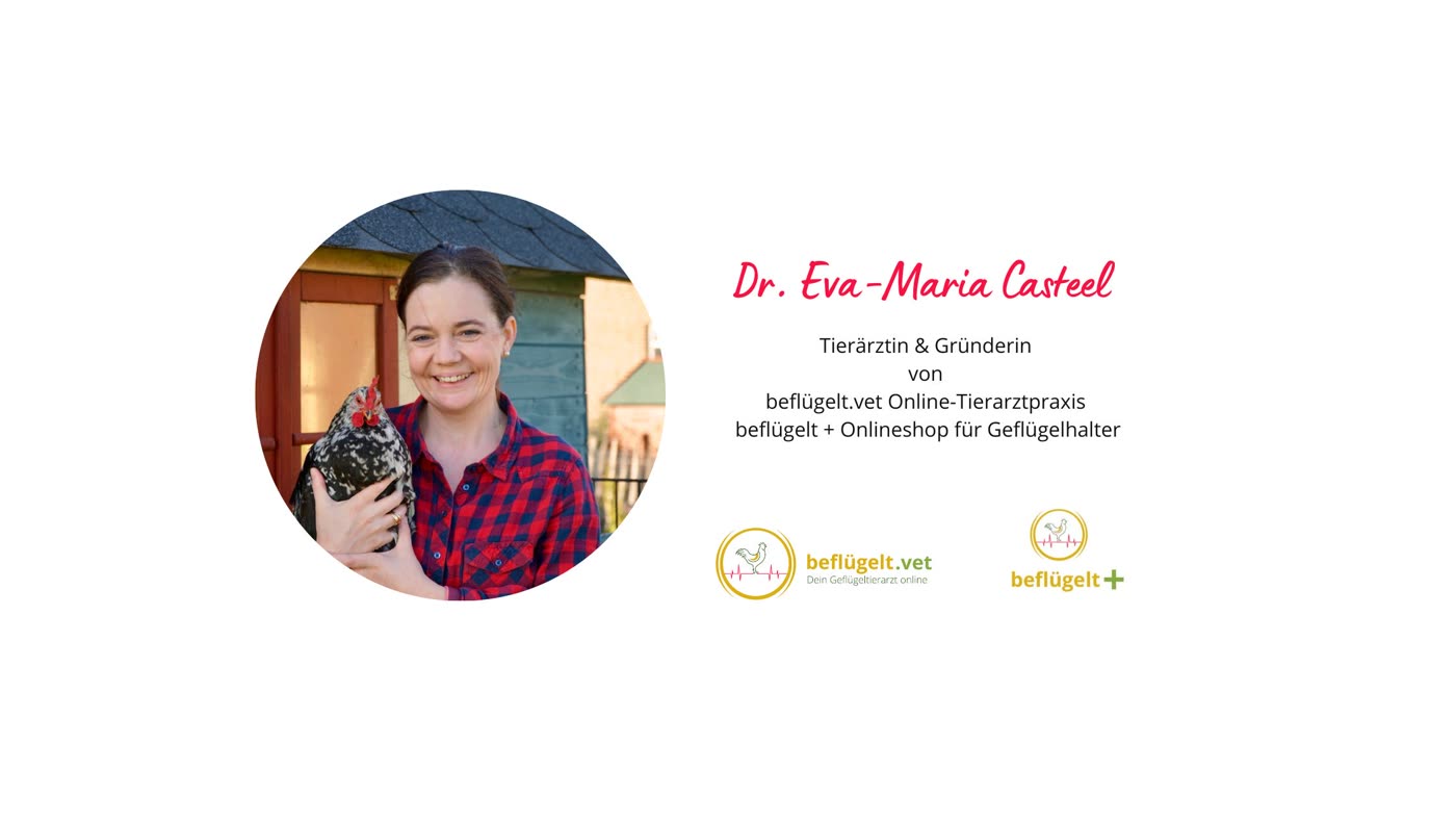 Autoreninfo von Dr. Eva-Maria Casteel