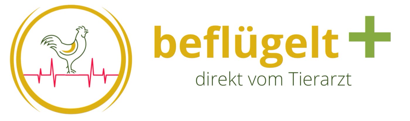 Beflügelt Onlineshop 