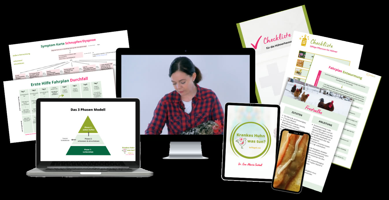 Onlinekurs Krankes Huhn, was tun Bild verschiedener Schaubilder und von Dr. Casteel