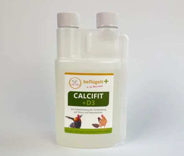 Calcifit Flasche aus dem beflügelt Onlineshop