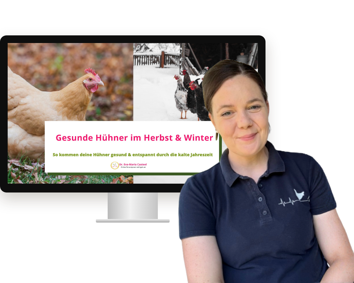 Live-Vortrag: Gesunde Hühner im Herbst und Winter