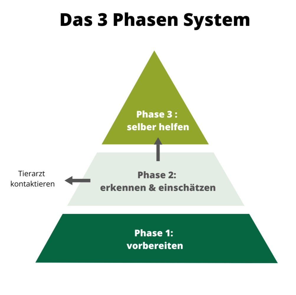 Das 3-Phasen-Hühnerhilfe-System