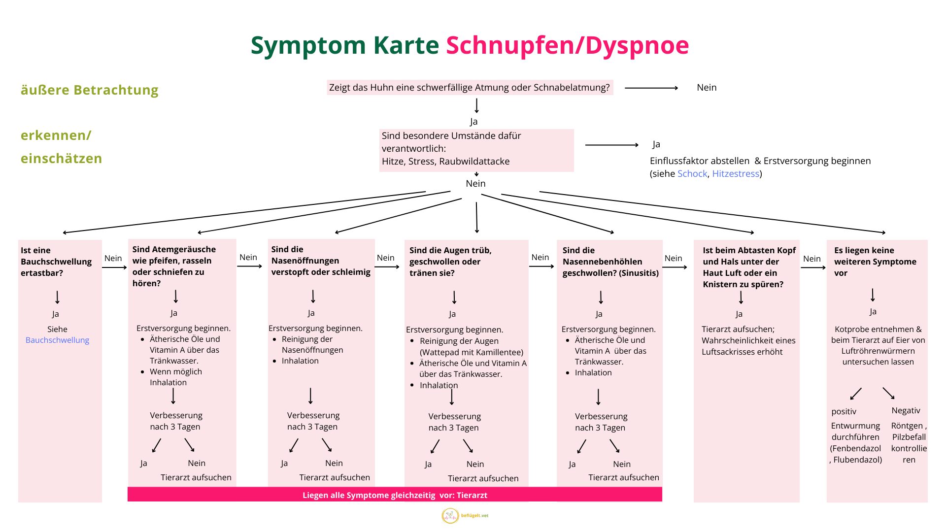 Symptomkarten aus dem Kurs