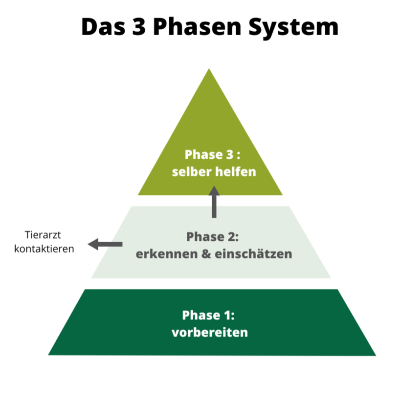 Das 3-Phasen-System: vorbereiten, erkennen und einschätzen, selber helfen