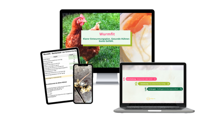 WurmFit: Kursvideos, Rechentool und Fahrplan zur Entwurmung