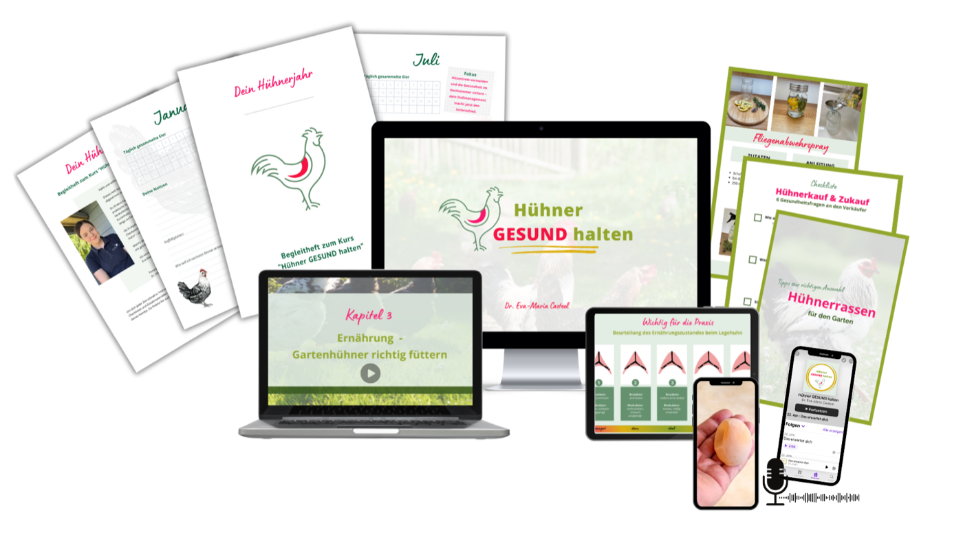 Die Kursinhalte von Hühner GESUND halten auf Laptop, Tablet und Handy