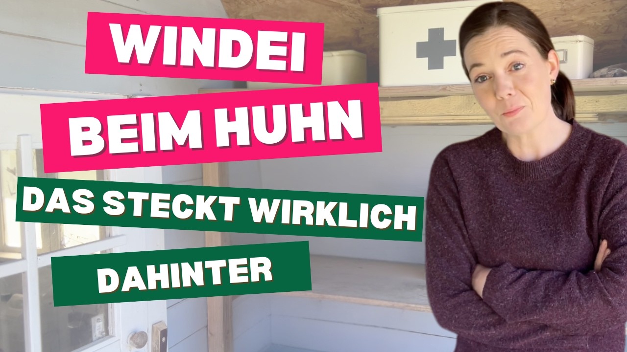 Video: Windei beim Huhn: Ursachen erkennen und richtig handeln